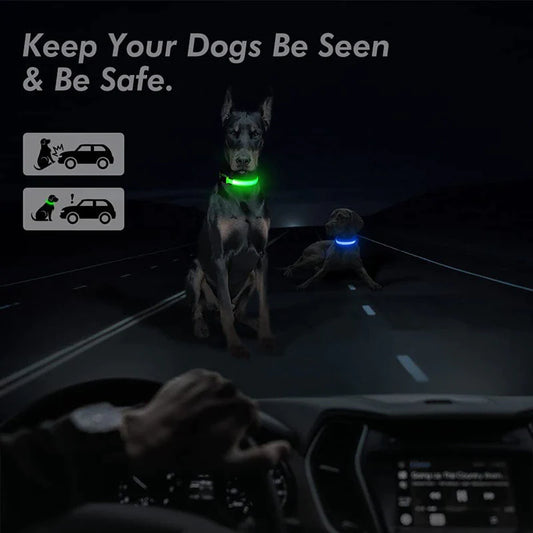 GlowSafe™ LED Dog Collar | Light Up Safety Collar