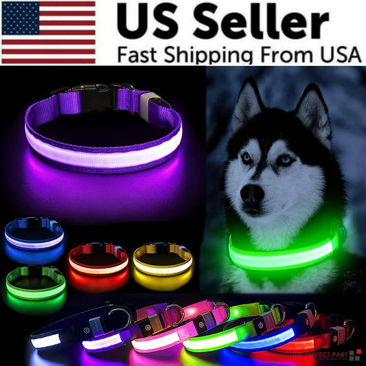 GlowSafe™ LED Dog Collar | Light Up Safety Collar
